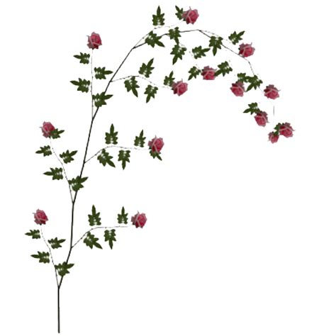 Rose Vine Png 10 Free Cliparts Download Images On Clipground 2023