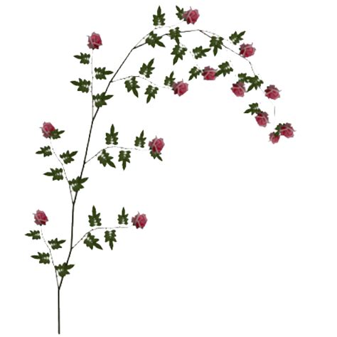 Rose Vine Png File Png Mart