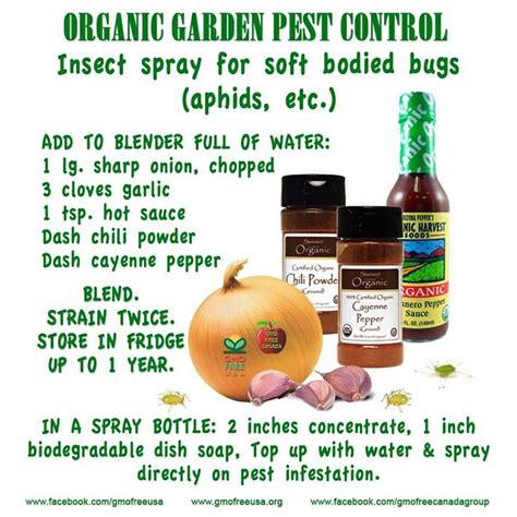 Organic slug & snail controls for vegetable gardens. Organic Garden Pest Control | Healthy Recipes and ...