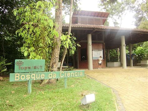 Bosque Da Ciencia Manaus All You Need To Know Before You Go