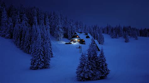 Download 2560x1440 wallpaper house, night, winter, trees, snow layer