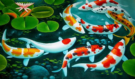 Hd Koi Fish Wallpaper 54 Images