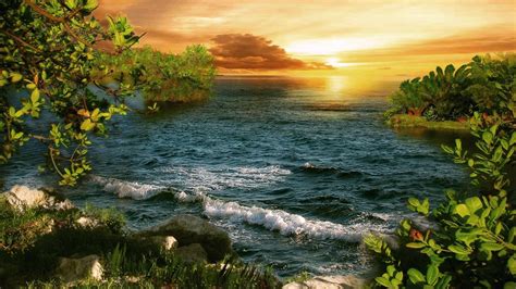 🥇 Sunset Forests Sea Wallpaper 82660