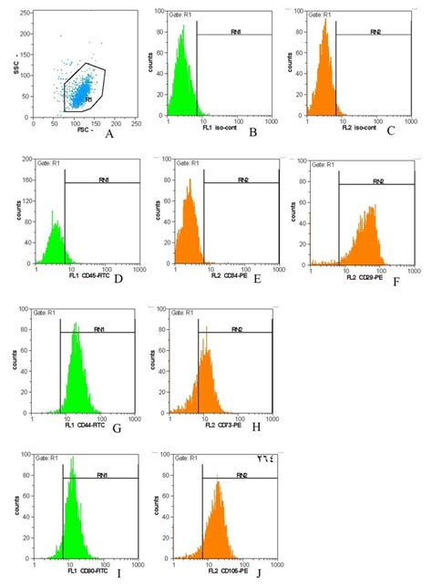 Flow Cytometry Plots Characterization Of Isolated Cells A Gating Of