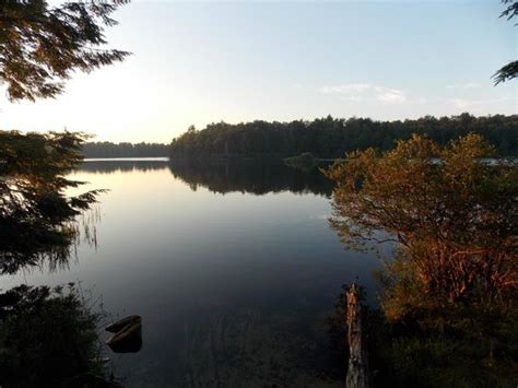 Dogs are also able to use this trail but must be kept. Lake Jean - Picture of Ricketts Glen State Park Campground ...