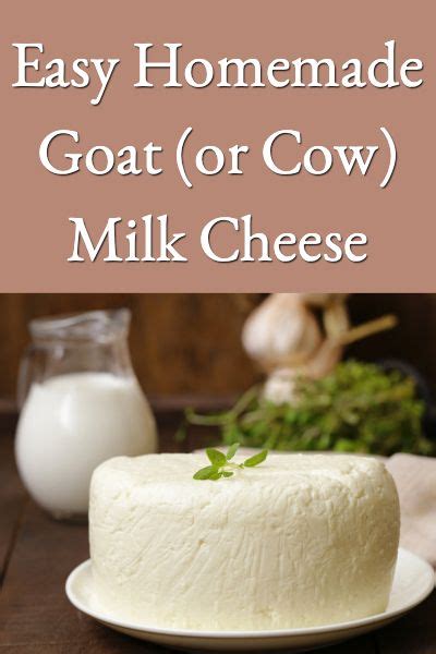 Homemade Goat Or Cow Milk Cheese On A Plate
