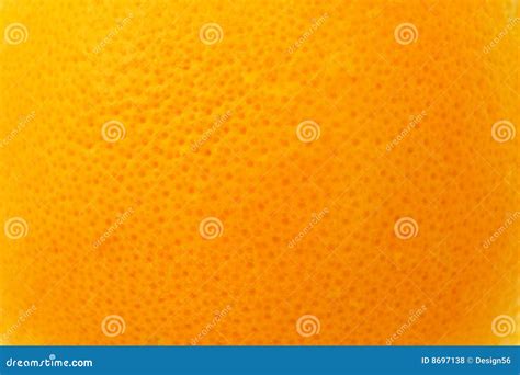 Orange Skin Background Stock Photo Image Of Abstract 8697138
