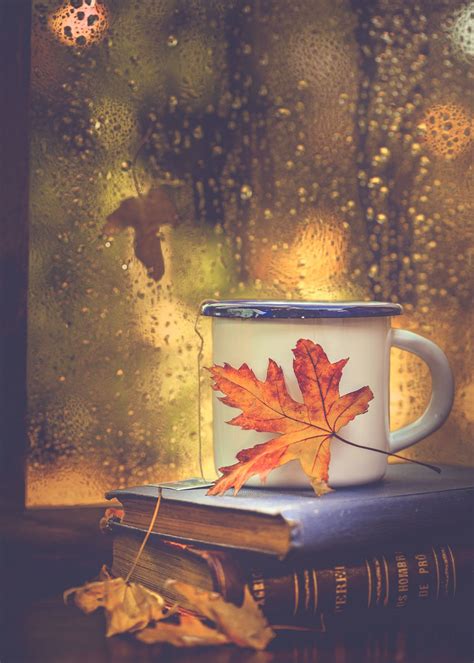 Books Tea And Rain Drops Fall Pictures Autumn