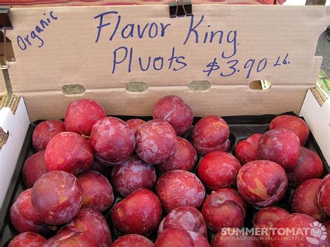The tree of plumcot fruit. What Is A Pluot - Learn About Flavor King Pluot Fruit Tree ...