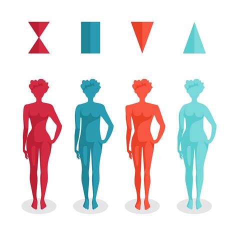 The Four Basic Female Body Shapes The Health Focus By Quantum Healing