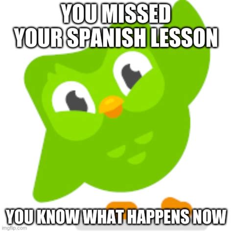 Image Tagged In Duolingo Memes Imgflip