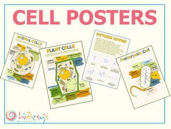 Cell theory was given by matthias schleiden,a german botanist and theodore schwann,a british zoologist.further cell theory was modified by rudolf schwann studied different types of animal cells and reported that cells had a thin layer which is today known as the 'plasma membrane'.he also. Cell posters. Plant cells, animal cells, prokaryotic ...