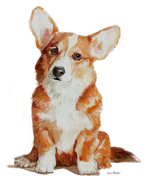 Welsh Corgi Puppy Corgi Dog From Watercolor Corgi Print In Etsy