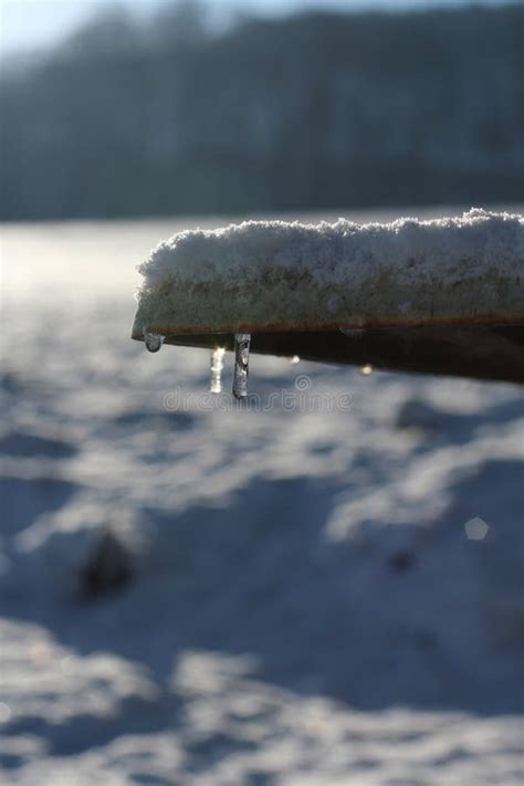 Melting Snow Stock Image Image Of Wintry Drip Frozen 1159545