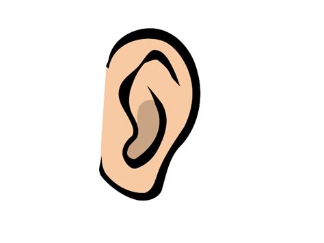 Ear Clip Art At Vector Clip Art Online Royalty Free
