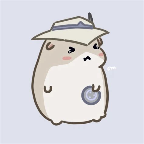 All Valorant Agents As Hamsters