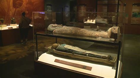 Mummies Of The World Exhibition At The Saint Louis Science Center Youtube
