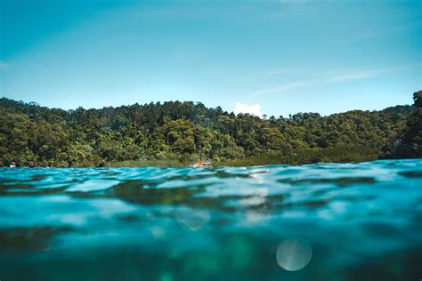 Relevant working experiences is required but fresh graduates with.location : The Sabah, Borneo and Kota Kinabalu Travel Guide | Away ...