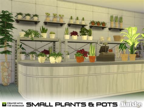 Small Plant And Pots By Mutske At Tsr Sims 4 Updates