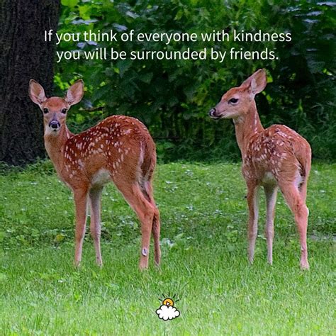 If You Think Of Everyone With Kindness You Will Be Surrounded By