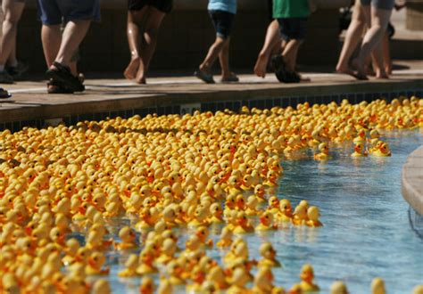 Rubber Ducky Derby Raises Make A Wish Funds The Salt Lake Tribune
