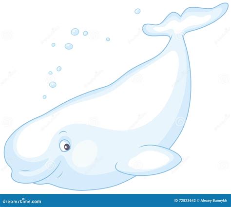 Beluga Whale Swimming Stock Vector Illustration Of Cartoony 72823642