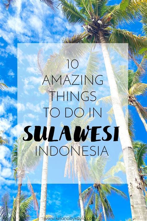 10 Amazing Things To Do In Sulawesi Reizen Vakanties Reisbestemmingen