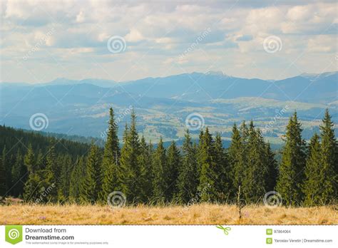 Spring Landscape In The Carpathian Mountains Stock Photo Image Of