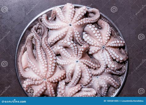 Fresh Raw Octopus On A Large Platter Concept Healthy Food Lo Stock