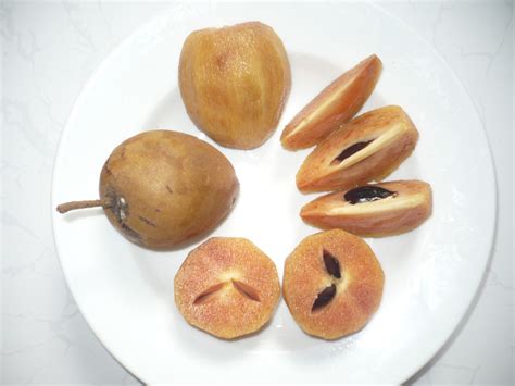 The papaya fruit has a rich history. The Health Benefits of Chikoo (Chickoo) or Sapodilla Fruit ...