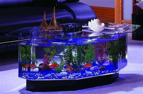 Cool Fish Tank Theme Ideas