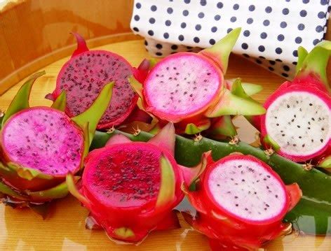 Search the world's information, including webpages, images, videos and more. KOLEKSI ARTIKEL PERTANIAN (Clipping): KLASIFIKASI BUAH NAGA