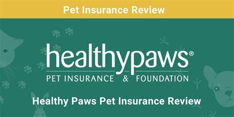 Healthy Paws Pet Insurance Review 2024 Pros Cons And Verdict Pet Keen