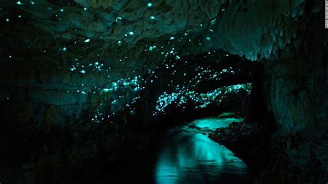 At Waitomo Caves In New Zealand Glowworms Illuminate The
