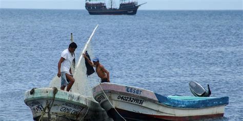 Pescadores Buscan La Ampliación De La Temporada De Captura De Mero Y