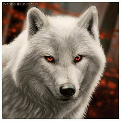 Wolf With Red Eyes Wolf Eyes Wolf Images