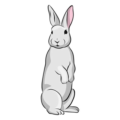 Ilustración de oreja de conejo conejo bozal Descargar PNG/SVG