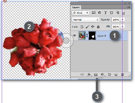 What are Adobe Photoshop Layer and Vector Masks? - Creative Studio