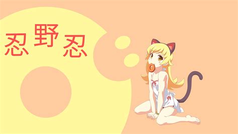 Kawaii Anime Cat Wallpapers Top Free Kawaii Anime Cat