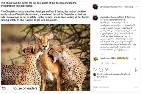 شارك الفنان عباس أبو الحسن، متابعيه وجمهوره، بصورة السيلفي الشهيرة مع الفنان فتحي عبد الوهاب، التي يعتاد الأخير ان يلتقطها مع أصدقائه. عباس أبو الحسن يقع بفخ السوشيال ميديا حول قصة صورة صيد ...