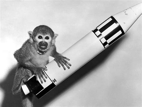 • • • i wish wishes made with the monkeys paw had some unintended negative consequence. The 25 best fantasy movies on Netflix, according to ...
