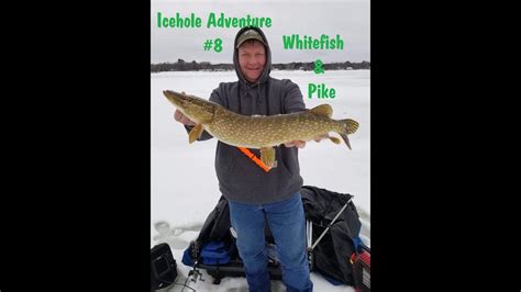 Bare trees, eaves lined with ice sickles and streets covered by snow or ice mean nothing to the determined ice angler in this sportsman's state. NFN Icehole Adventure #8 Ice Fishing Michigan Whitefish ...