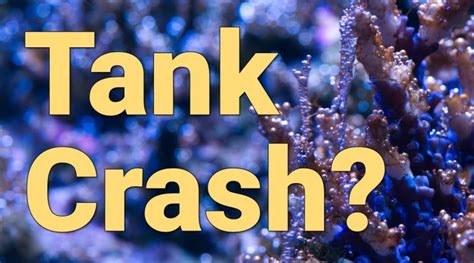 What To Do When Your Reef Tank Crashes