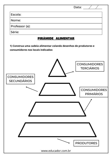 Atividades Sobre Cadeias Alimentares 4 Ano