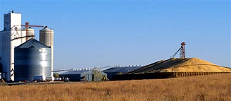 Consider Pros Cons Of Alternative Grain Storage Methods Cropwatch