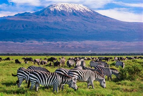 2 Days Amboseli National Park Elky Tours And Travel Kenya