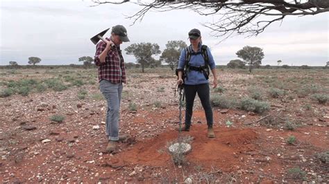 Gold Prospecting Western Australia Cue 2014 Youtube