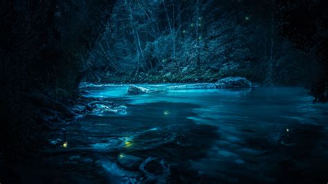 Forest Wallpaper 4k River Night Dark Magical