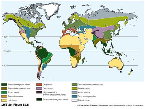 Tropical rainforest biomes are found in locations throughout the world in a band around the equator known as the tropics. Forest Biome: Latitude Of Temperate Forest Biome