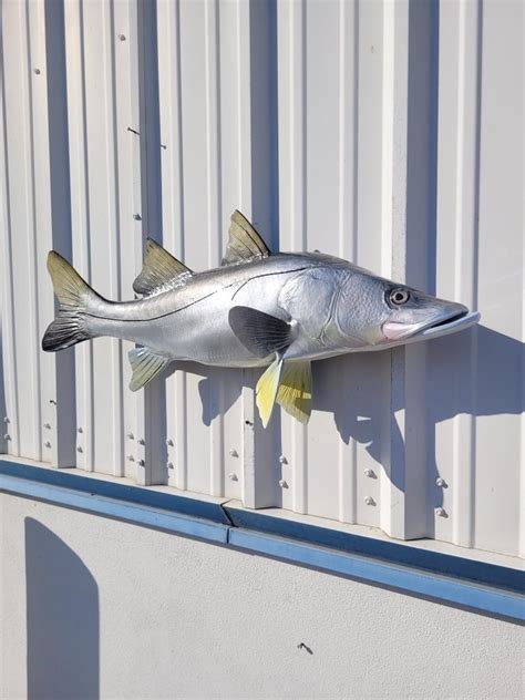 39 Snook Full Mount Fish Replica Customer Proofs 22157 Mount This